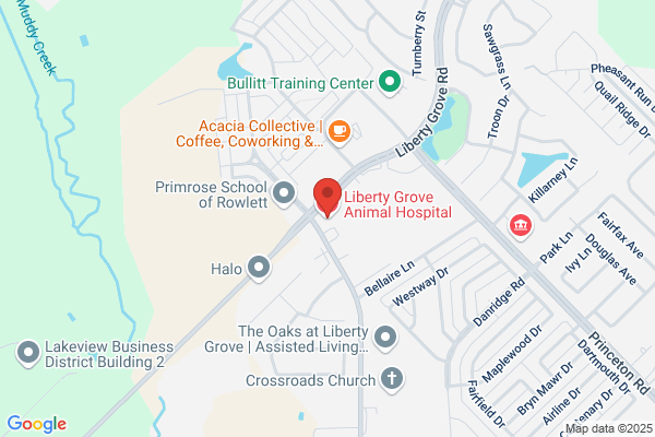 Liberty Grove Animal Hospital, A Thrive Pet Healthcare Partner