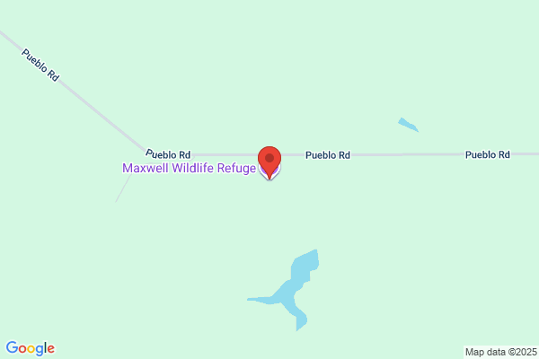 Friends of Maxwell