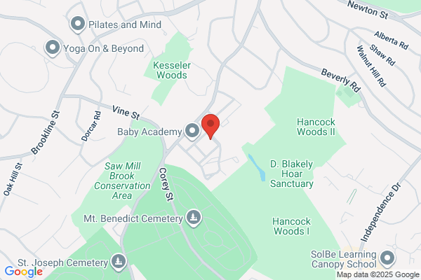 Chestnut Village Condominium Association