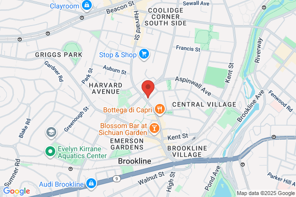 Brookline Spa Inc