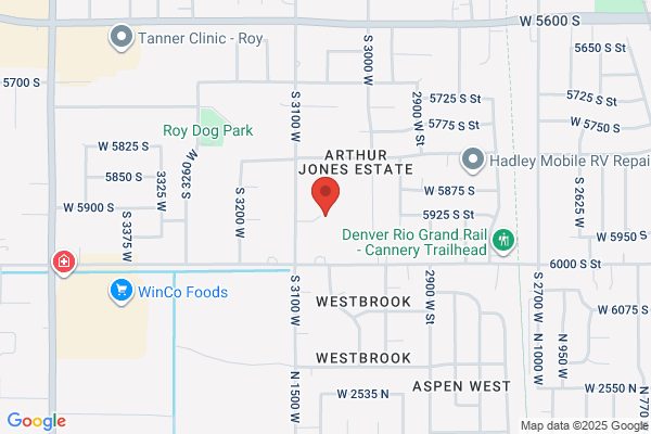 Professional Tree Trimming & Removal
