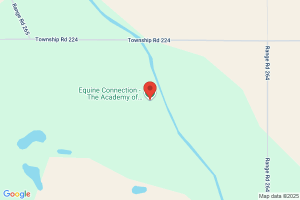 Correction Connection - Online Horse Riding Training and Lessons