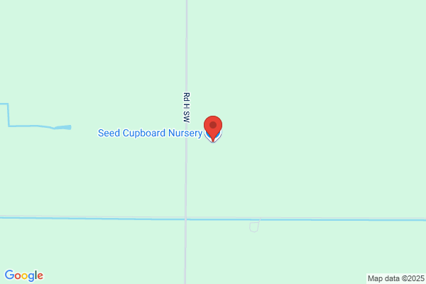 The Seed Cupboard Nursery
