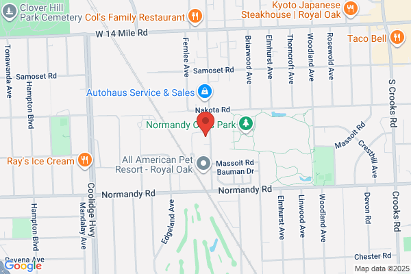 Birmingham Auto Detailing Inc