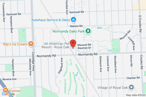 All American Pet Resorts Royal Oak
