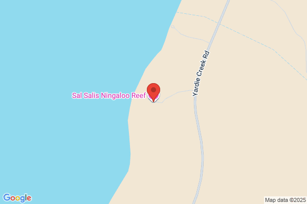 Sal Salis Real Estate