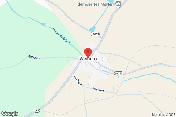 Weiner Ron