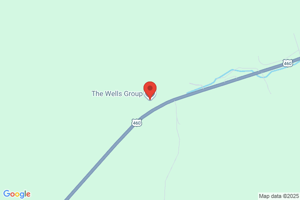 Well's Group Llc the