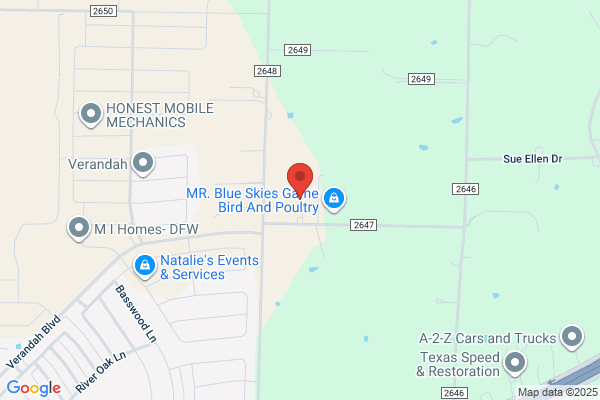 Ameramove Rowlett Movers
