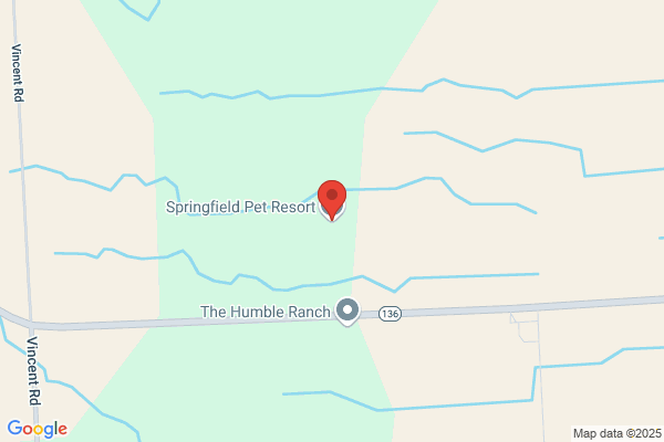 Springfield Pet Resort