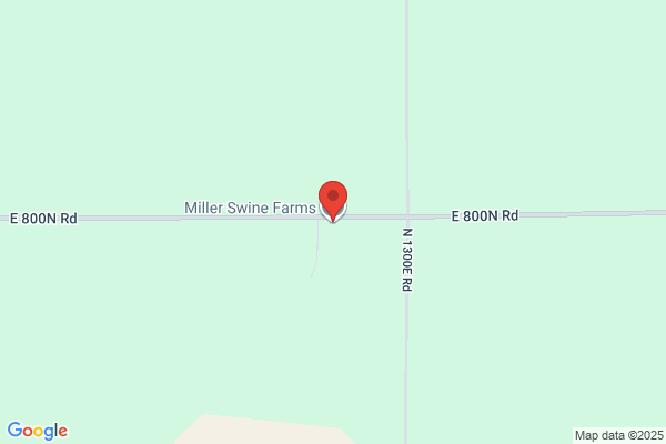 Liefer Swine Farms