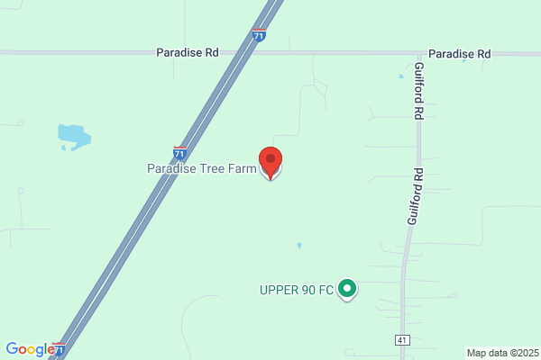 Paradise Tree Farm