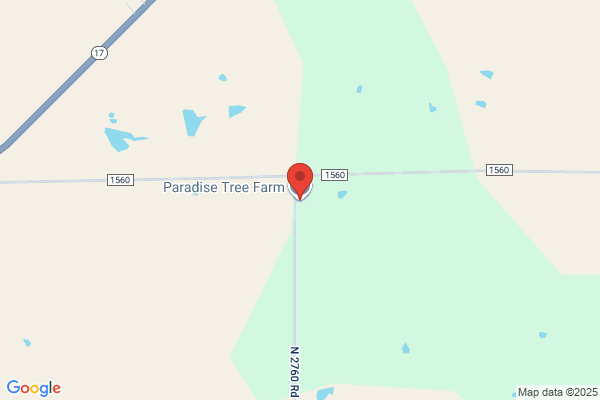 Pierce Tree Farm