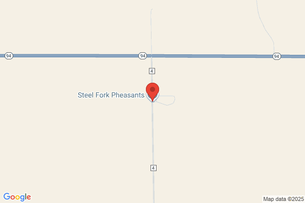 Steel Fork Pheasants Llc
