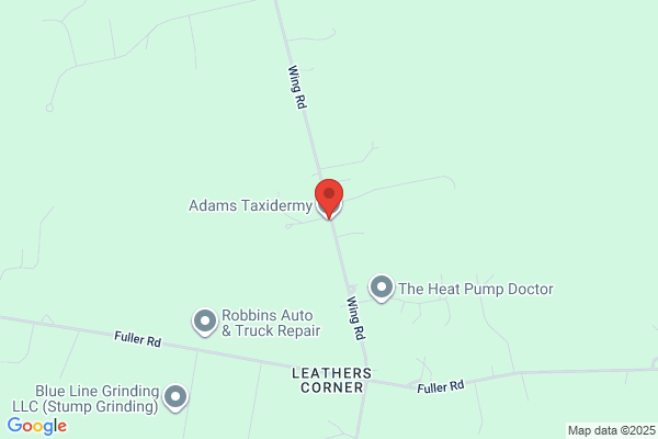 Adams Taxidermy