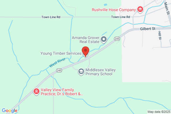 Young Timber Services LLC