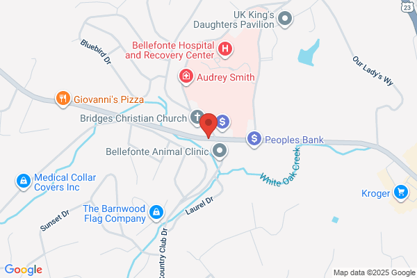 AAA Blue Grass Kentucky Travel Agency