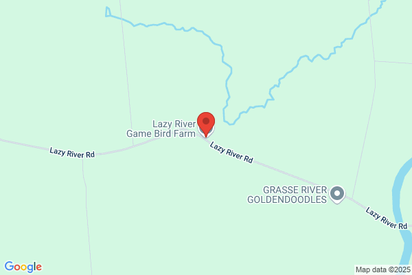 Lazy River Game Bird Farm