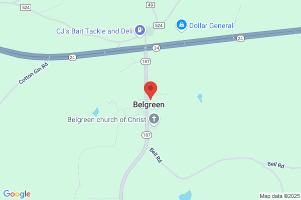 Belgreen High School
