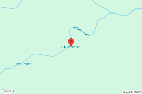 Gillum On the River