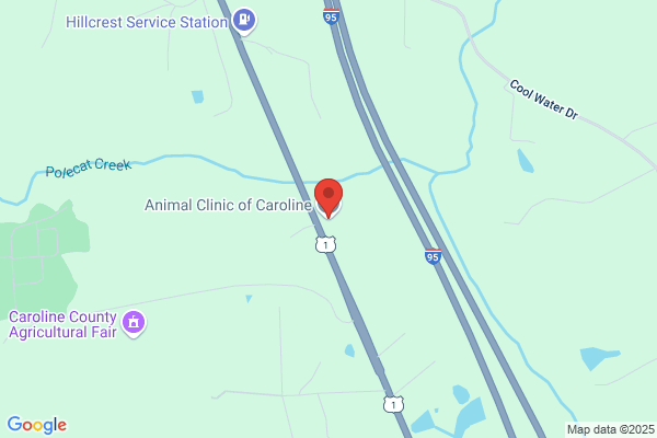 Animal Clinic of Caroline PC