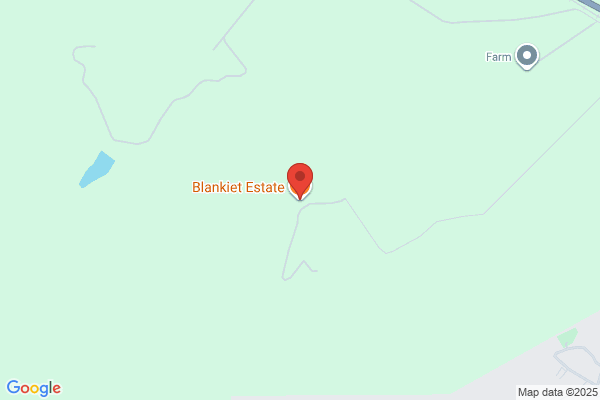 Blankiet Estate Llc