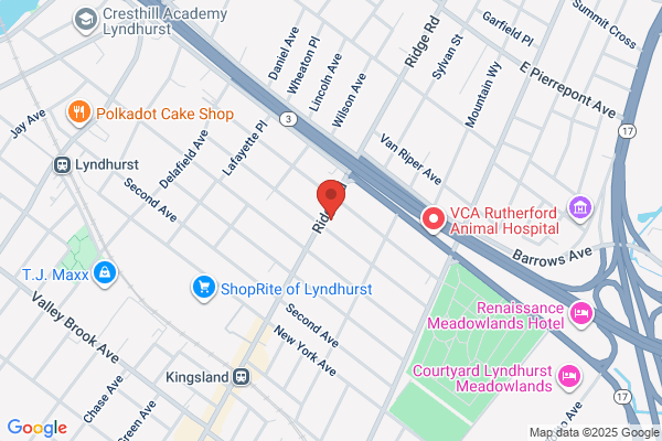 Lyndhurst Dental Center