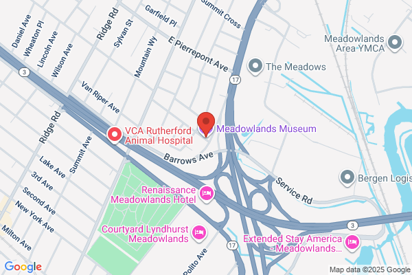 Meadowlands Museum