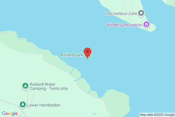 Bueno Burrito