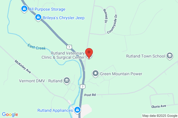 Rutland Veterinary Clinic & Surgical Center