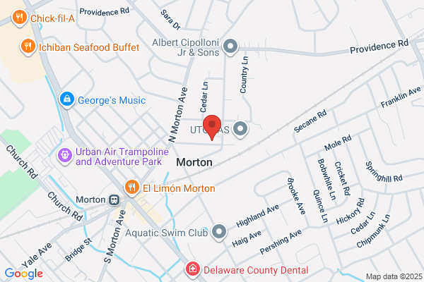Morton News