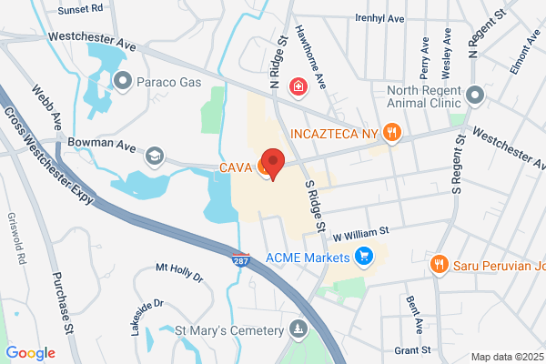 Rye Brook Labs