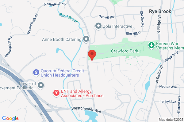 Rye Brook Security Inc
