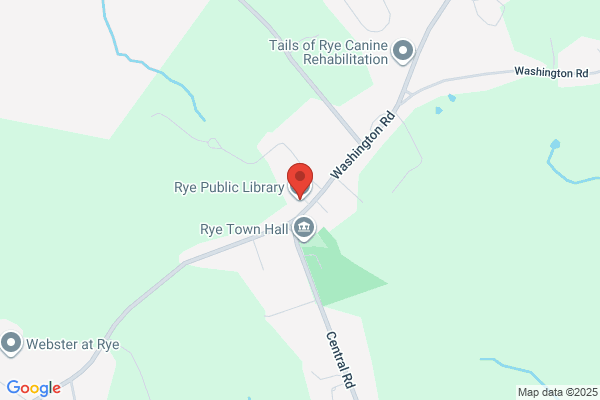 Rye Public Library, Library Public