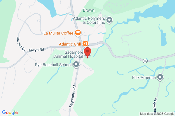 Sagamore Animal Hospital