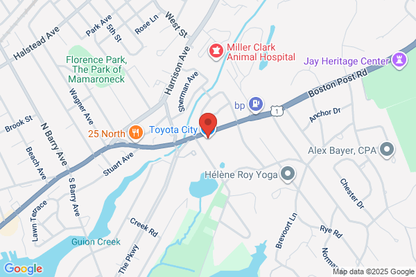 Toyota City
