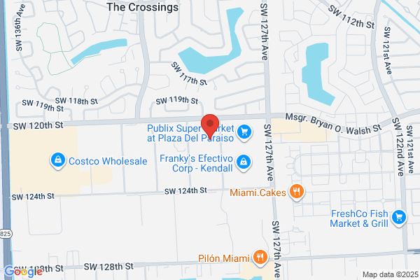 Ny1Ms Inc