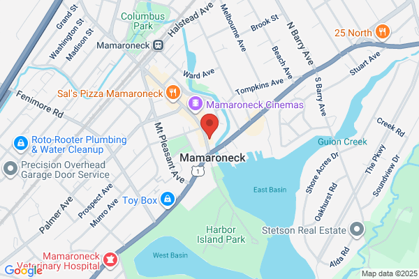Mamaroneck Village of, Mayor