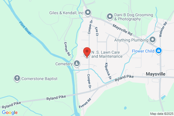 N S Lawn Care and Maintenance