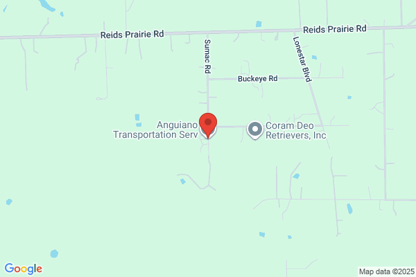 Anguiano Transportation