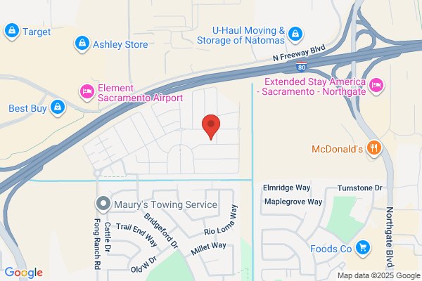 Nowski Carpet & Upholstery Cleaning