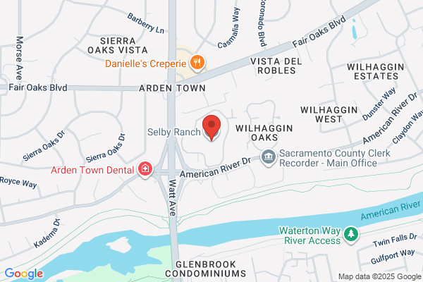 J. Dream Vault