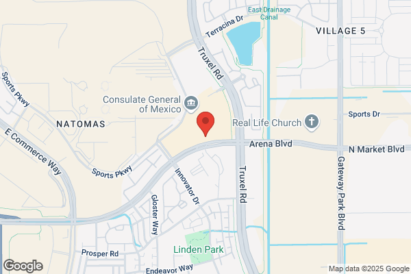 Orchid Dental Group
