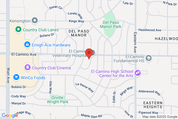 Vedenoff Gary J DDS