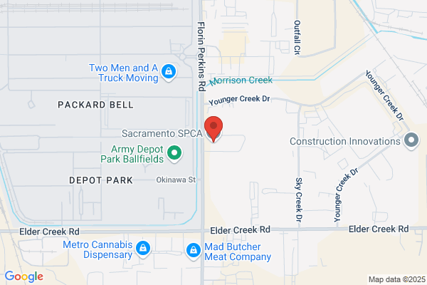 Sacramento Council of Dog Clubs