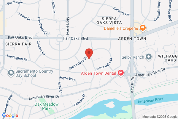 Sacramento Lice Removal - The Clean Comb