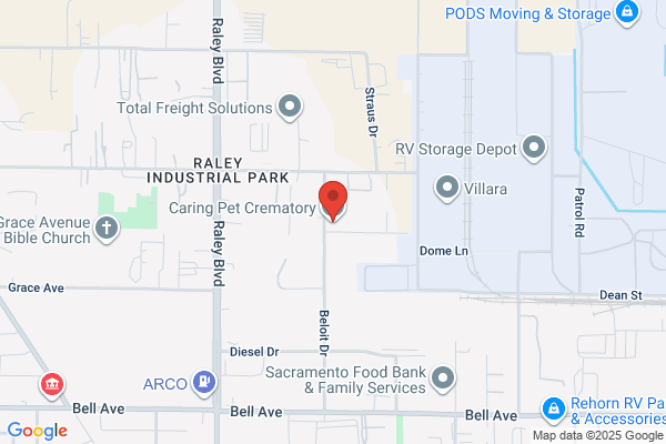 Cremation Services For Pets
