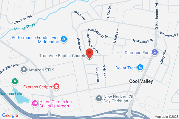 True Vine Baptist Church