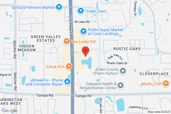 Geographic Solutions Inc