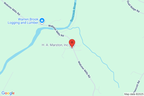 Marston & Marston Inc